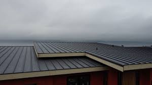 Best Green or Eco-Friendly Roofing Solutions  in Las Lomas, CA